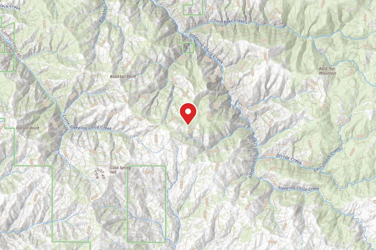 Bitterroot Dispersed Campsite RD 273-04C