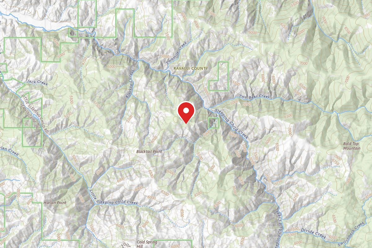 Bitterroot Dispersed Campsite RD 273-06