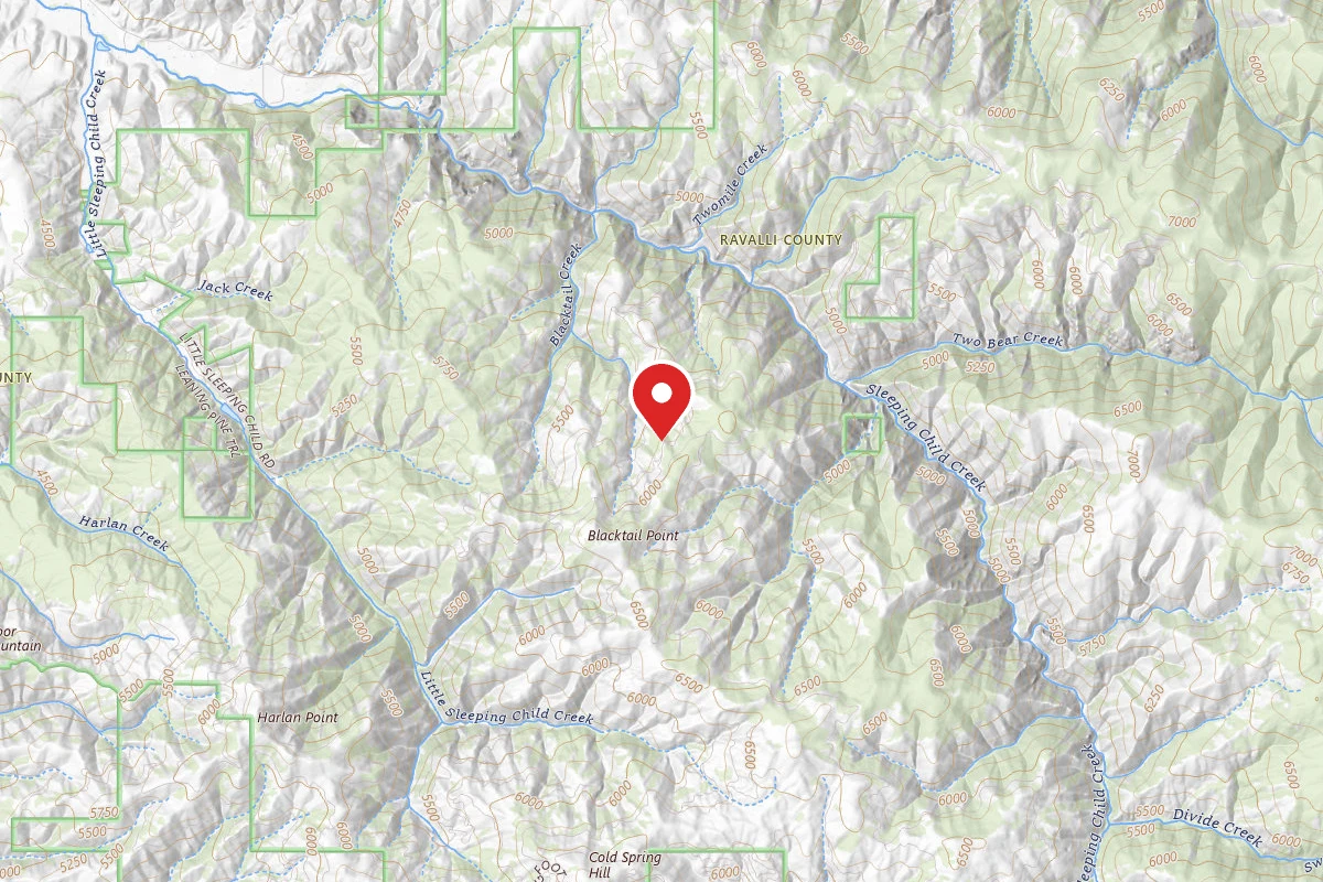 Bitterroot Dispersed Campsite RD 273-07