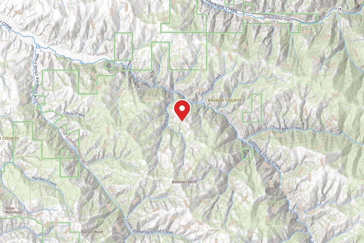 Bitterroot Dispersed Campsite RD 273-08