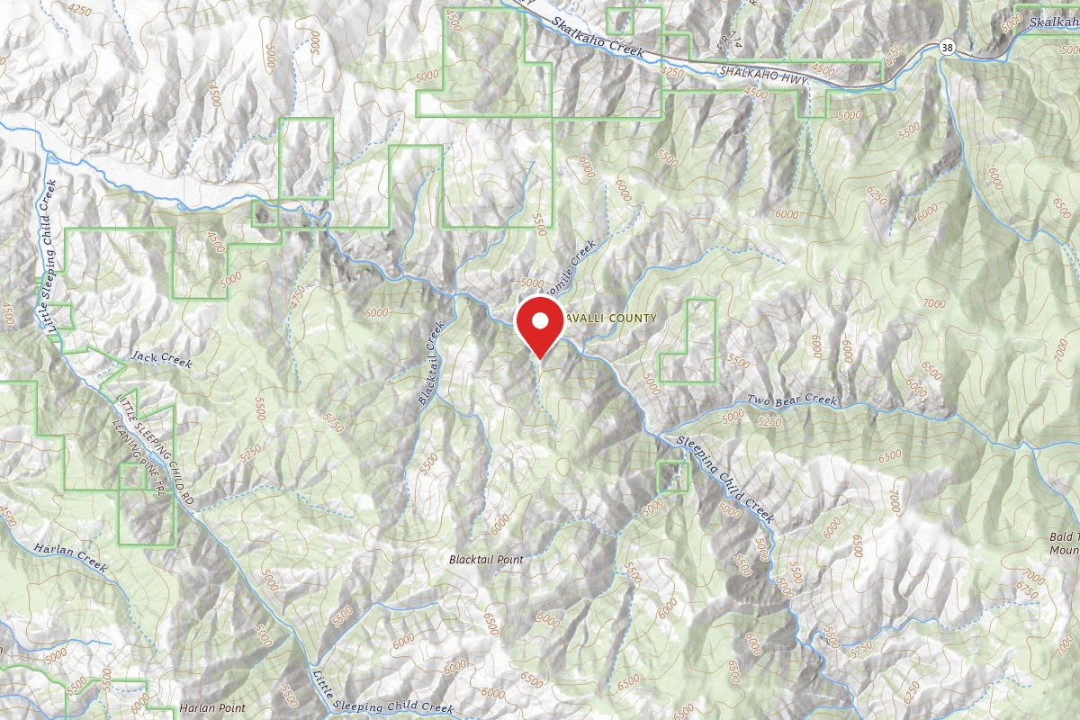 Bitterroot Dispersed Campsite RD 273-09