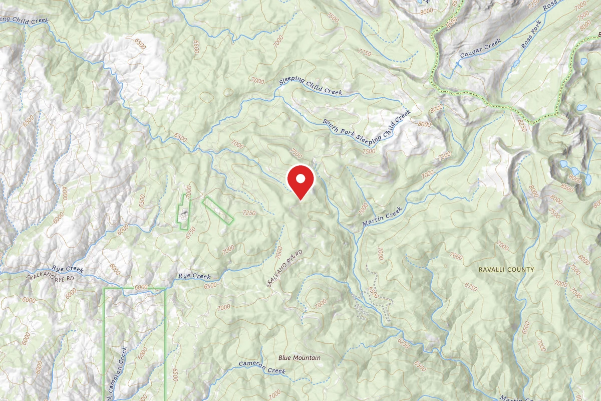 Bitterroot Dispersed Campsite RD 75-05