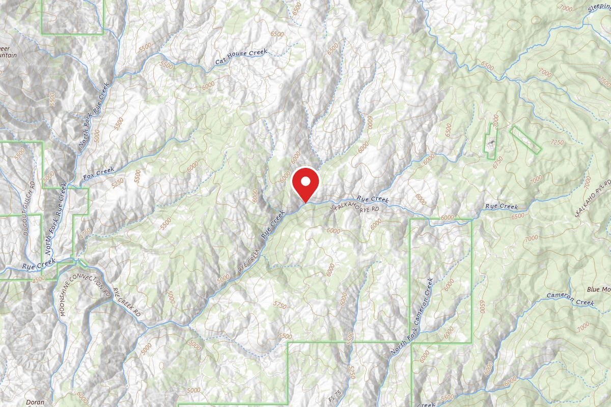 Bitterroot Dispersed Campsite RD 75-02