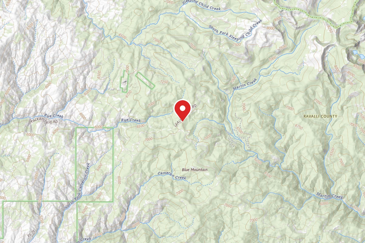 Bitterroot Dispersed Campsite RD 75-04