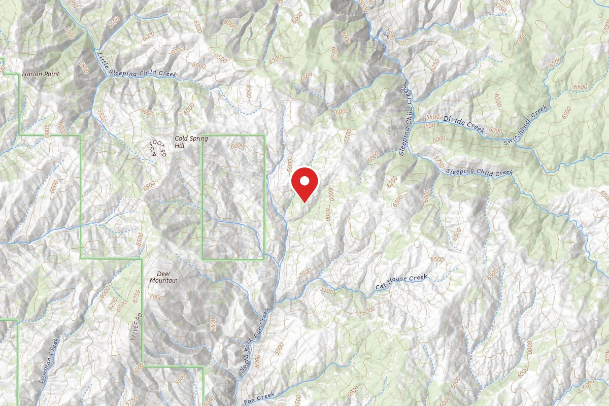 Bitterroot Dispersed Campsite RD 273-01