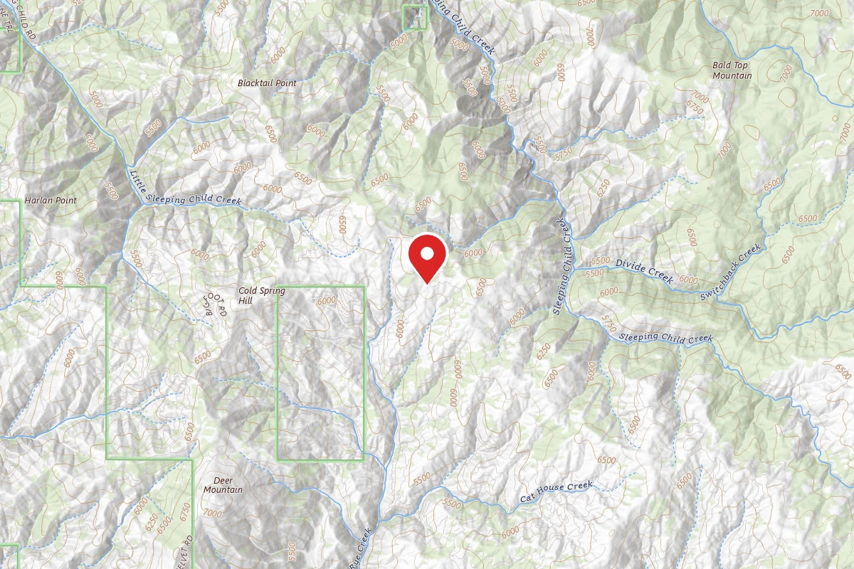 Bitterroot Dispersed Campsite RD 273-02