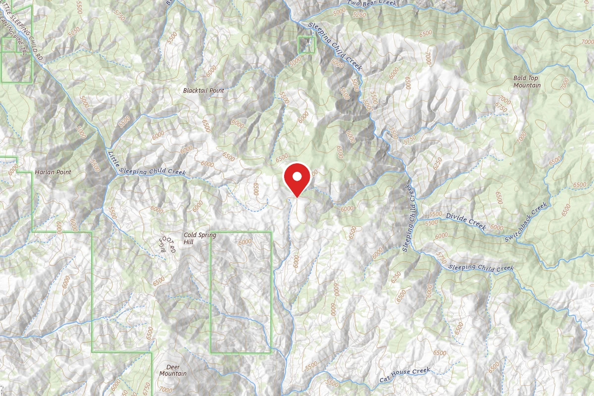 Bitterroot Dispersed Campsite RD 273-03