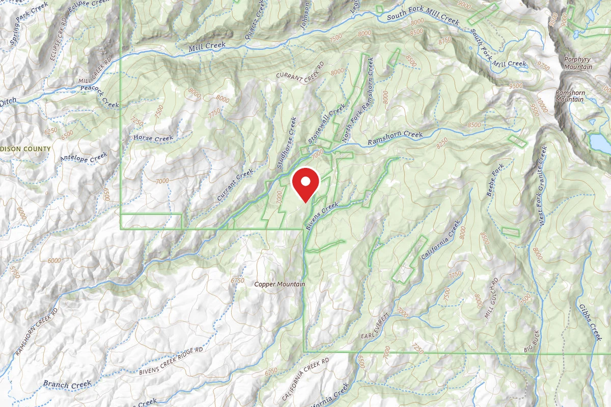 Beaverhead-Deerlodge Dispersed Campsite FS159-01