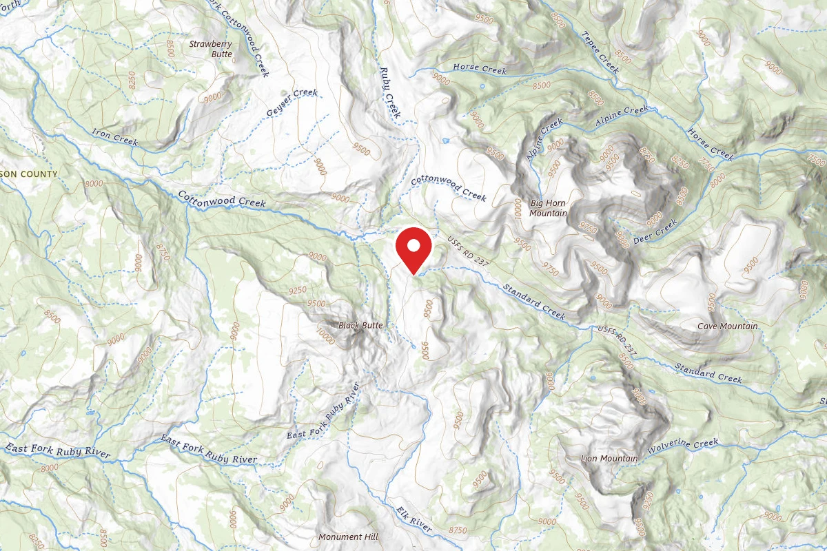 Beaverhead-Deerlodge Dispersed Campsite FS290-01