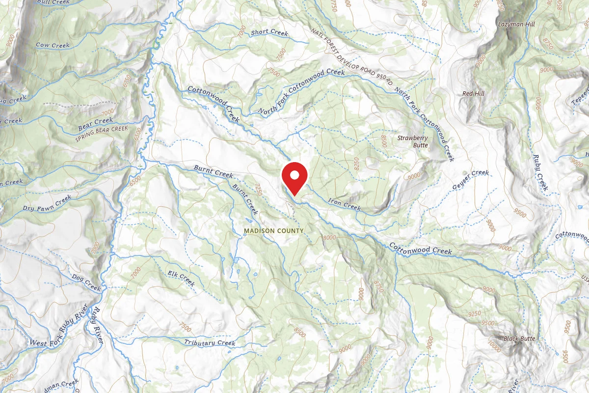 Beaverhead-Deerlodge Dispersed Campsite FS61012F-01