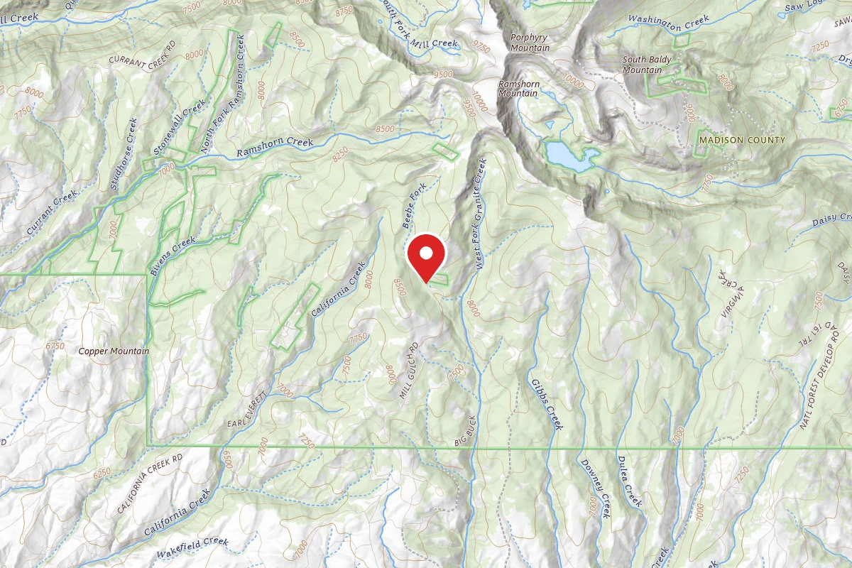 Beaverhead-Deerlodge Dispersed Campsite FS700-06