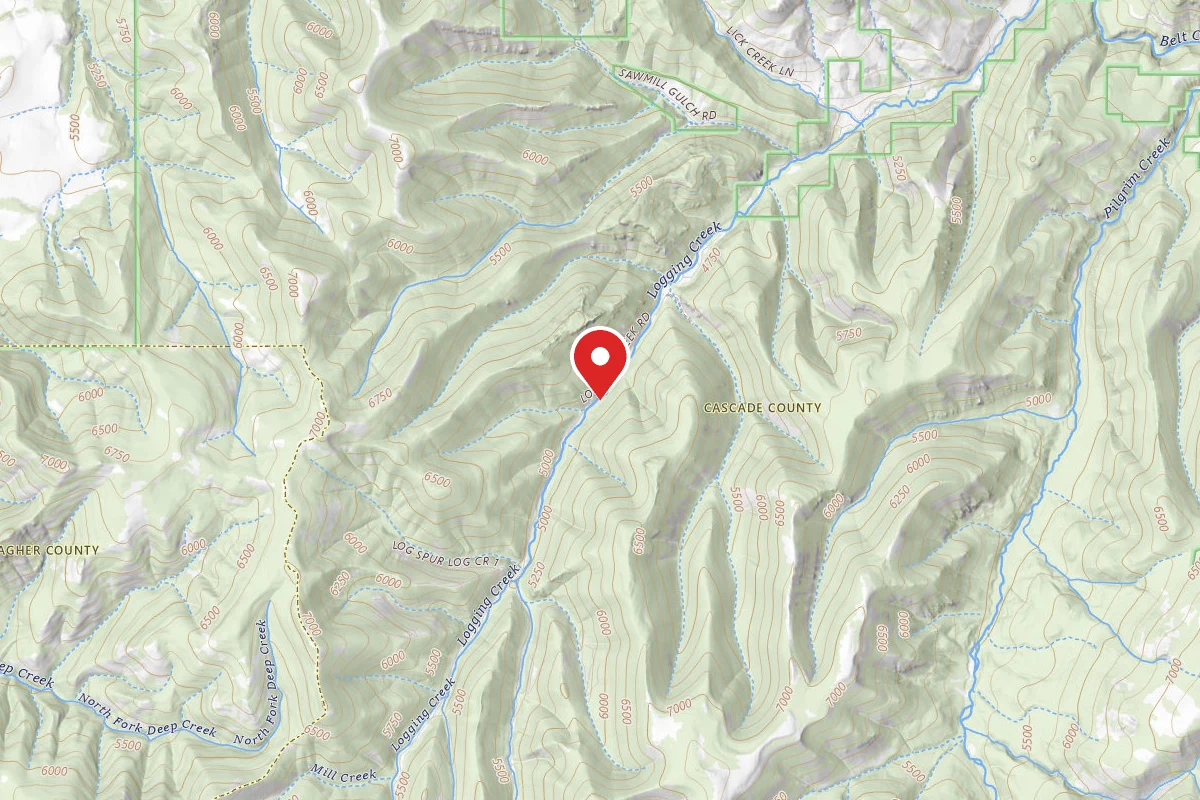Helena-Lewis and Clark Dispersed Campsite RD 6436-03