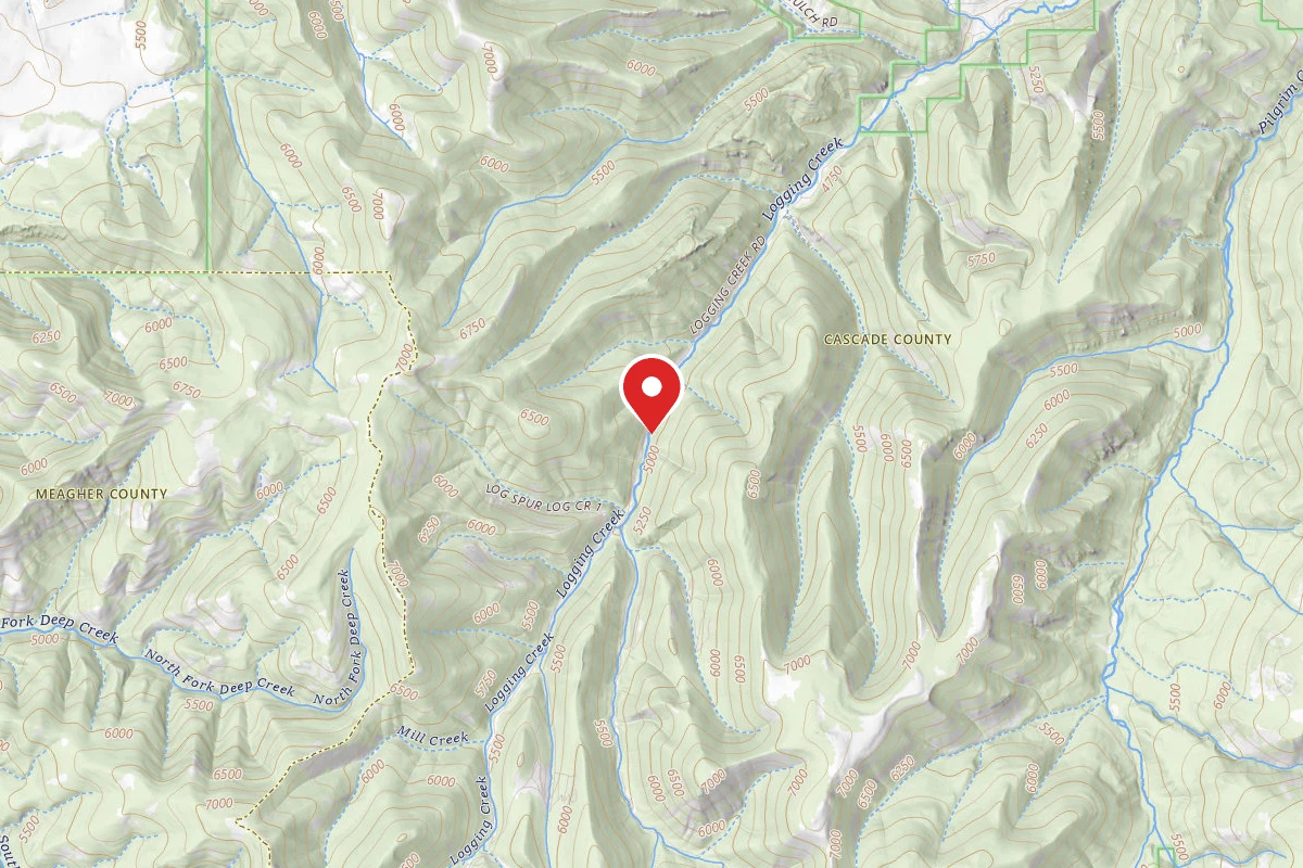 Helena-Lewis and Clark Dispersed Campsite RD 6436-08