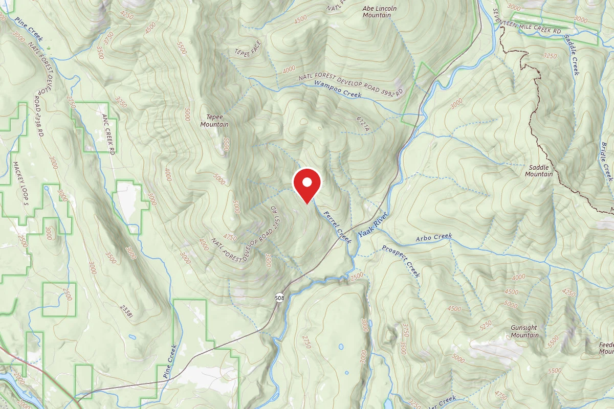 Kootenai Dispersed Campsite RD 2351 CAMP1