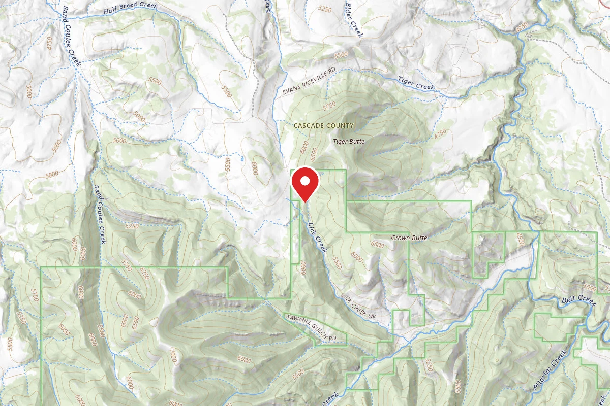 Helena-Lewis and Clark Dispersed Campsite LOGGING CR. RD. 839-001