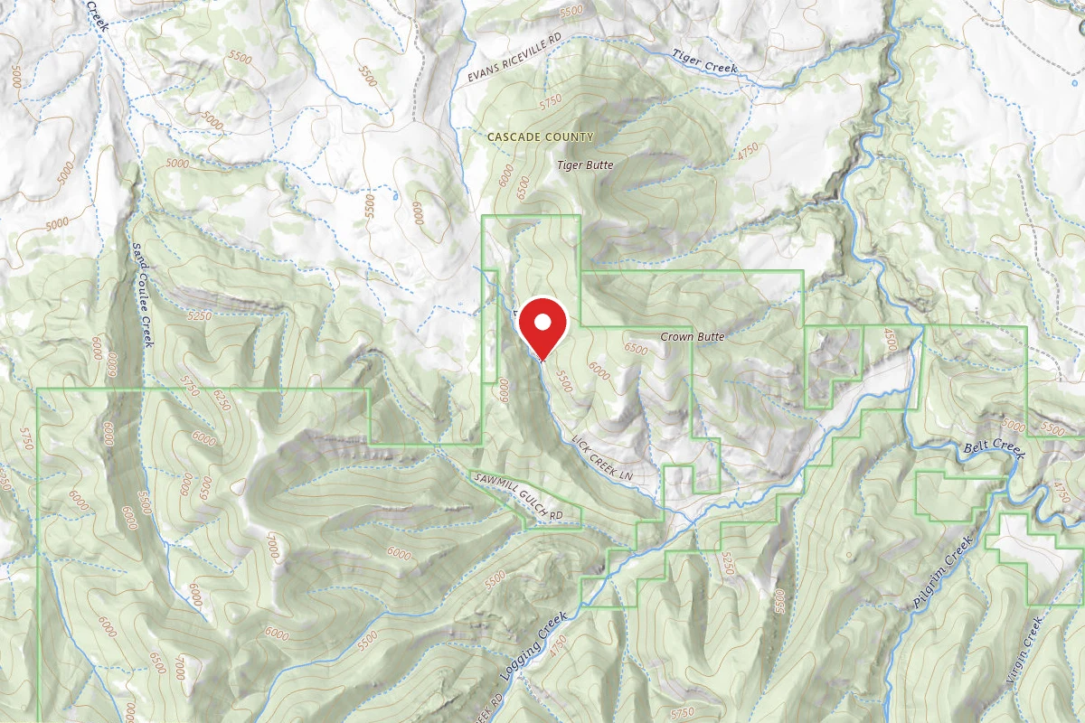 Helena-Lewis and Clark Dispersed Campsite LOGGING CR. RD. 839-002