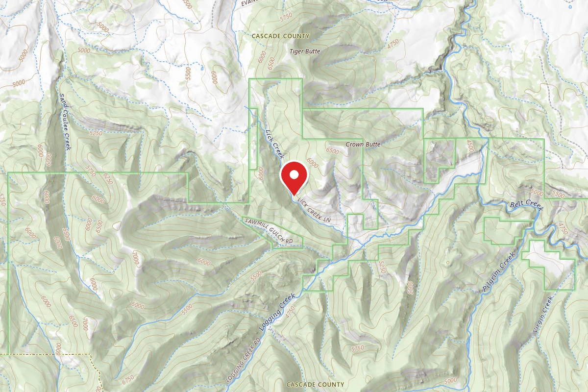 Helena-Lewis and Clark Dispersed Campsite LOGGING CR. RD. 839-003