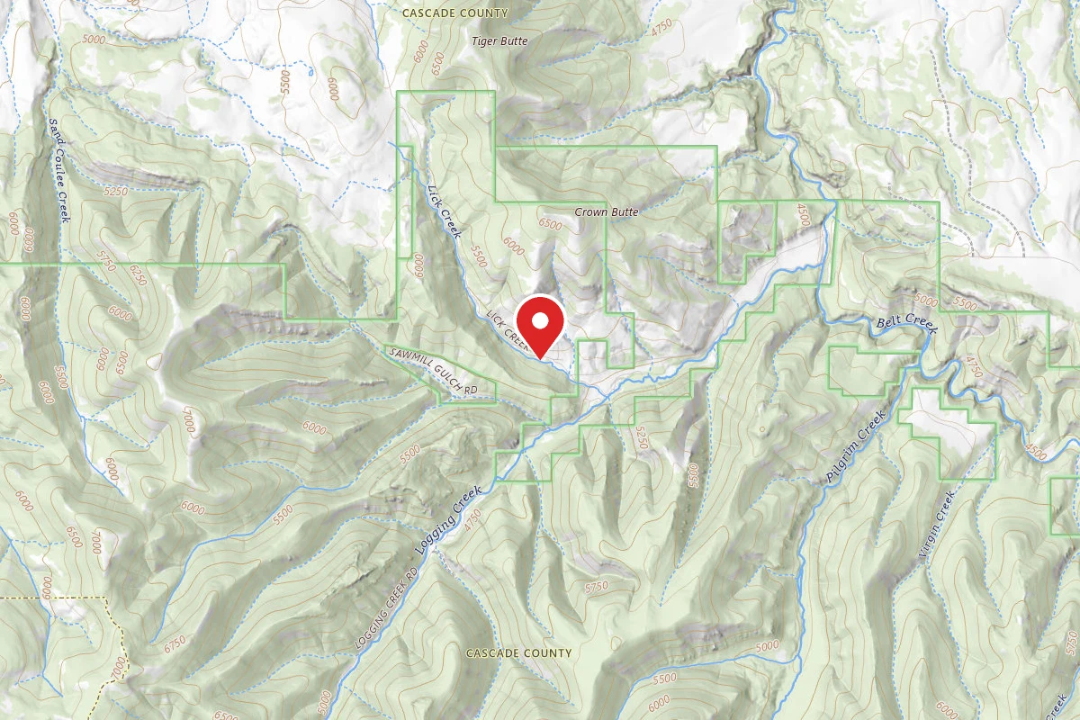 Helena-Lewis and Clark Dispersed Campsite LOGGING CR. RD. 839-004