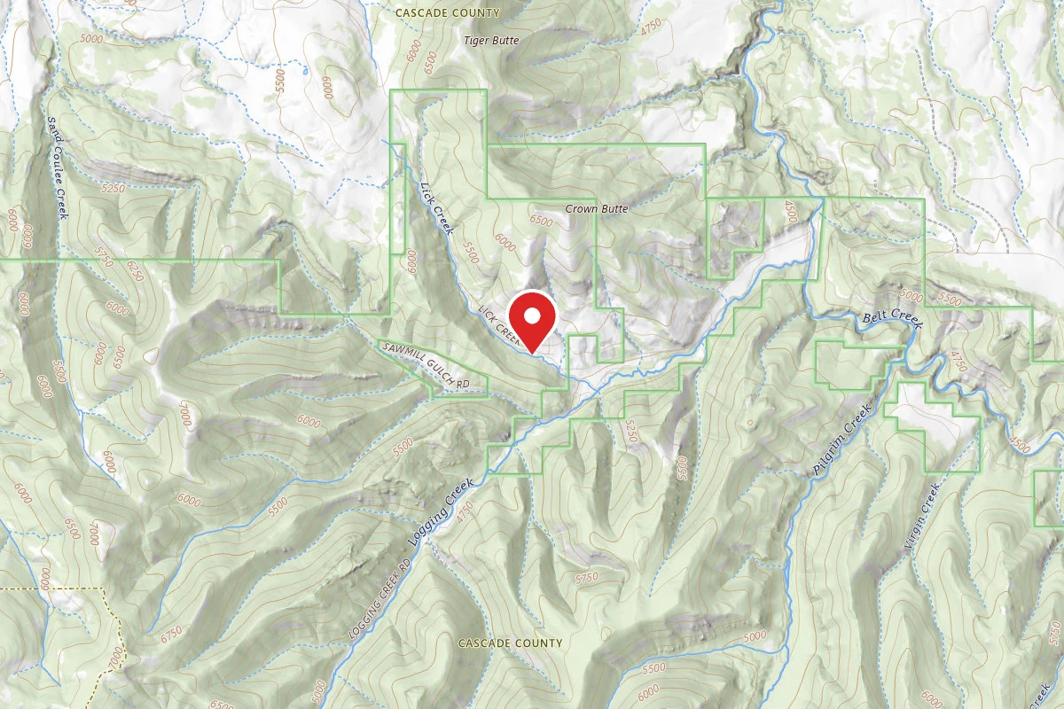 Helena-Lewis and Clark Dispersed Campsite LOGGING CR. RD. 839-005