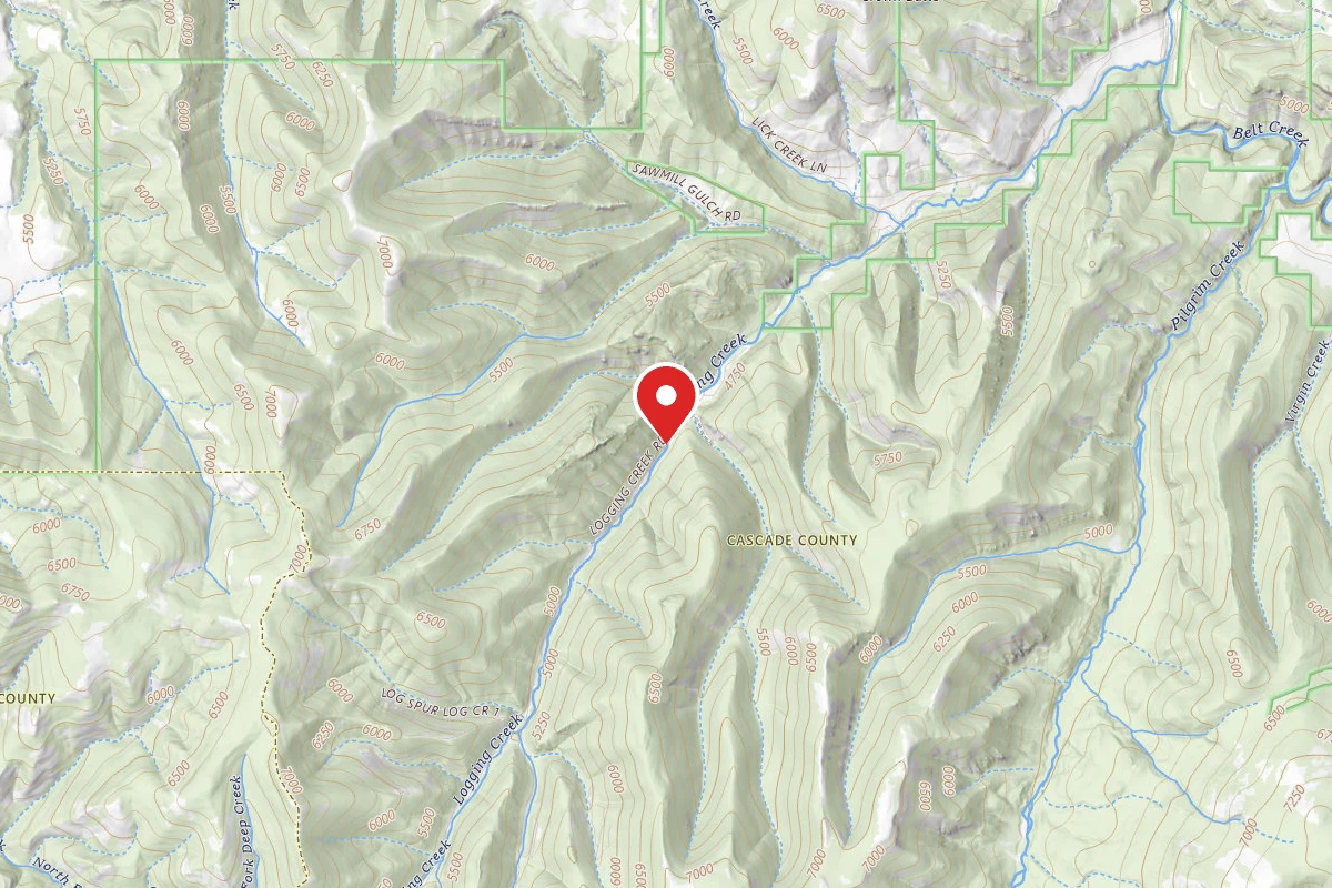 Helena-Lewis and Clark Dispersed Campsite LOGGING CR. RD. 839-006