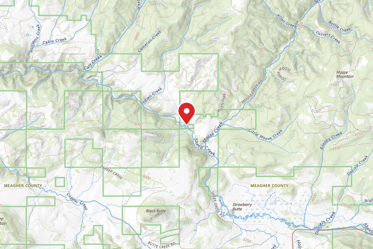 Helena-Lewis and Clark Dispersed Campsite SCR 119-003