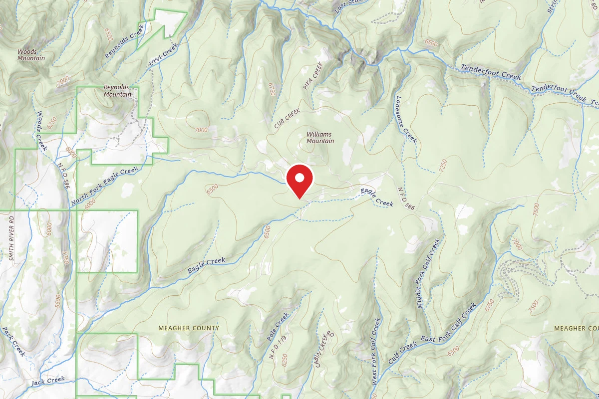 Helena-Lewis and Clark Dispersed Campsite SCR 119-002