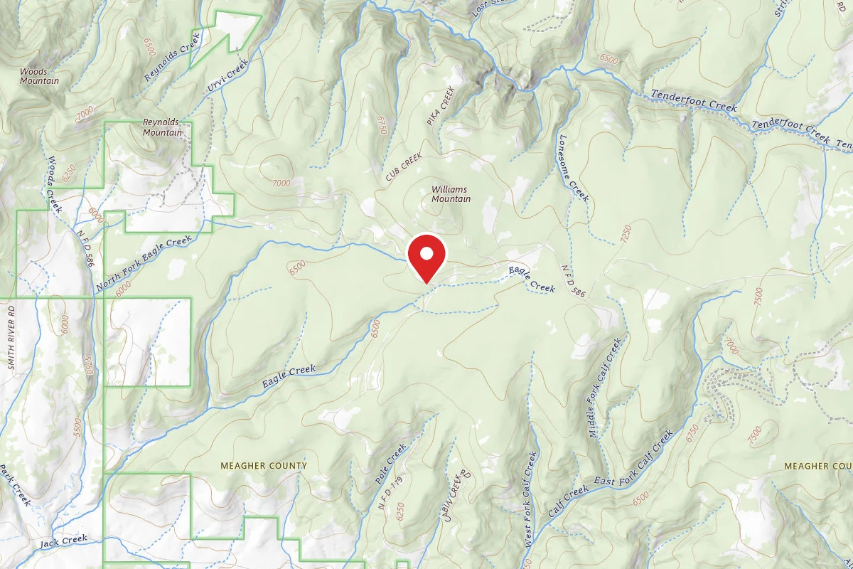 Helena-Lewis and Clark Dispersed Campsite SCR 119-003