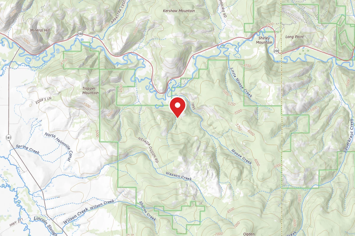 Helena-Lewis and Clark Dispersed Campsite MOOSE CR RD 1163-001