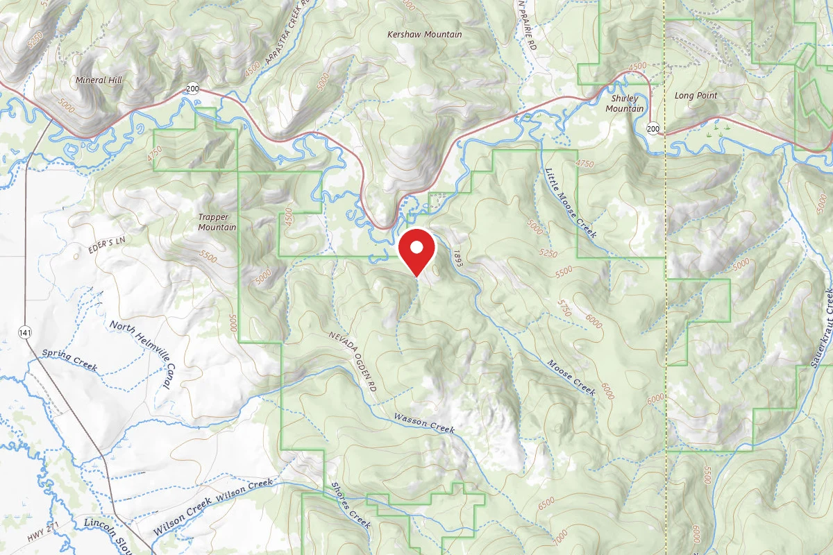 Helena-Lewis and Clark Dispersed Campsite MOOSE CR RD 1163-002