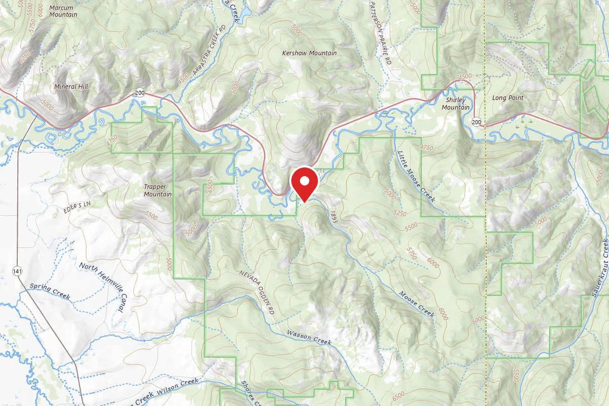 Helena-Lewis and Clark Dispersed Campsite MOOSE CR RD 1163-003