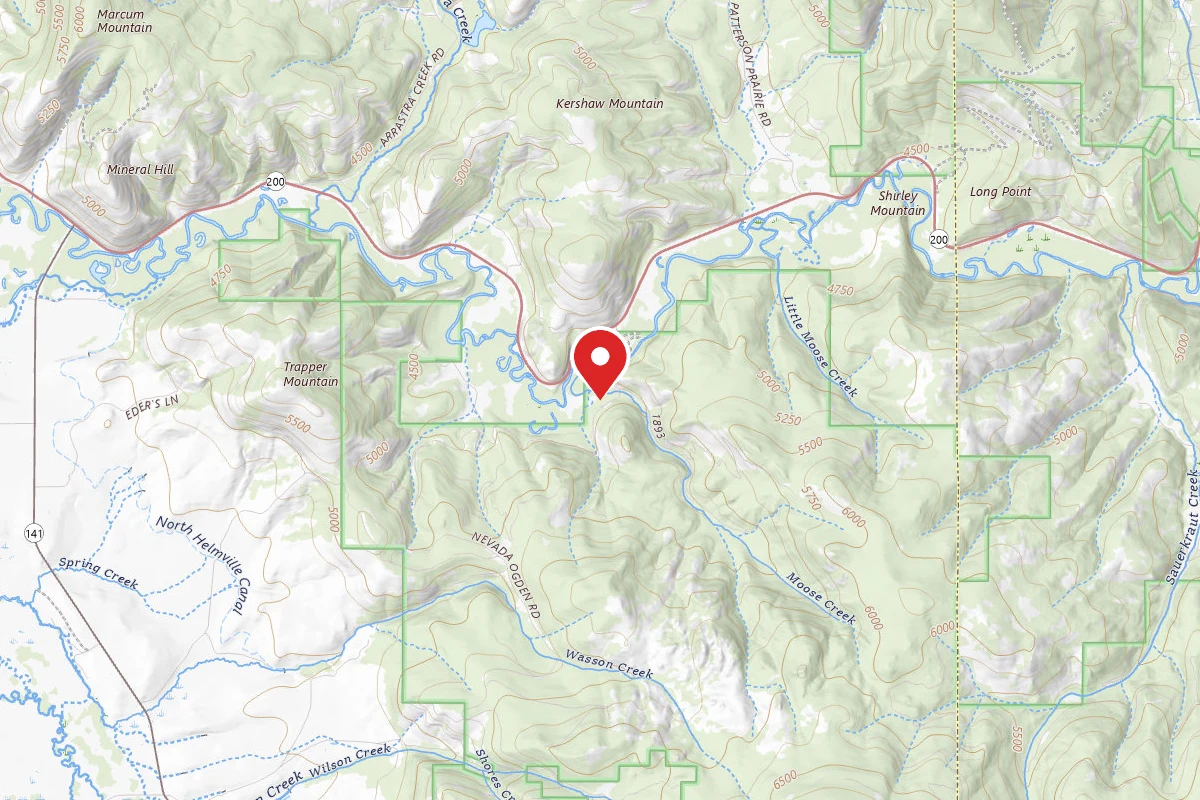 Helena-Lewis and Clark Dispersed Campsite MOOSE CR RD 1163-003