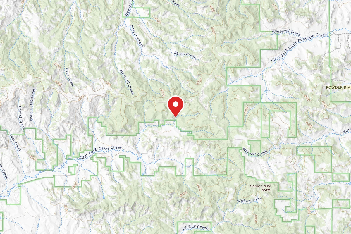 Custer Gallatin Dispersed Campsite FR 44236A
