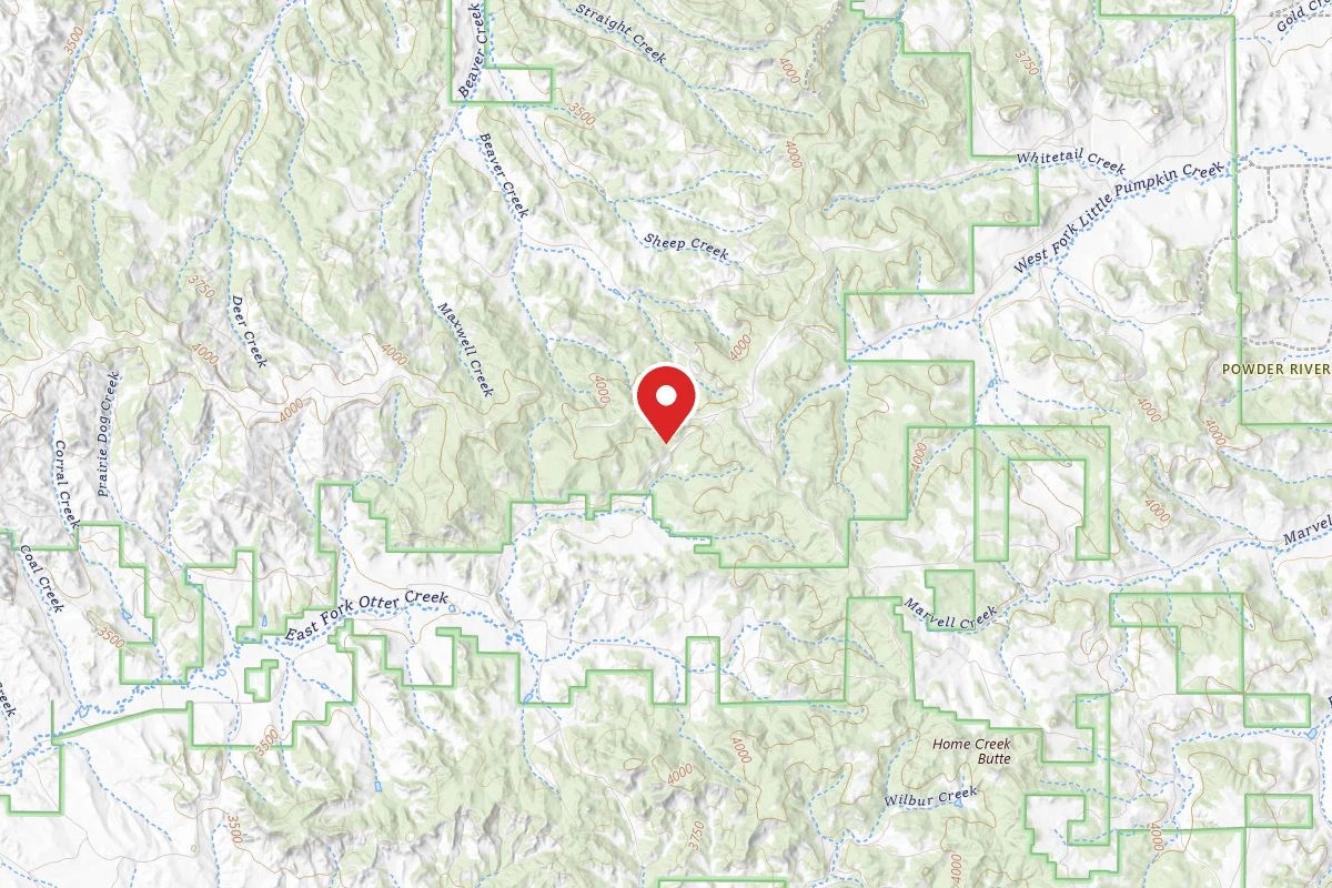 Custer Gallatin Dispersed Campsite FR 44236B
