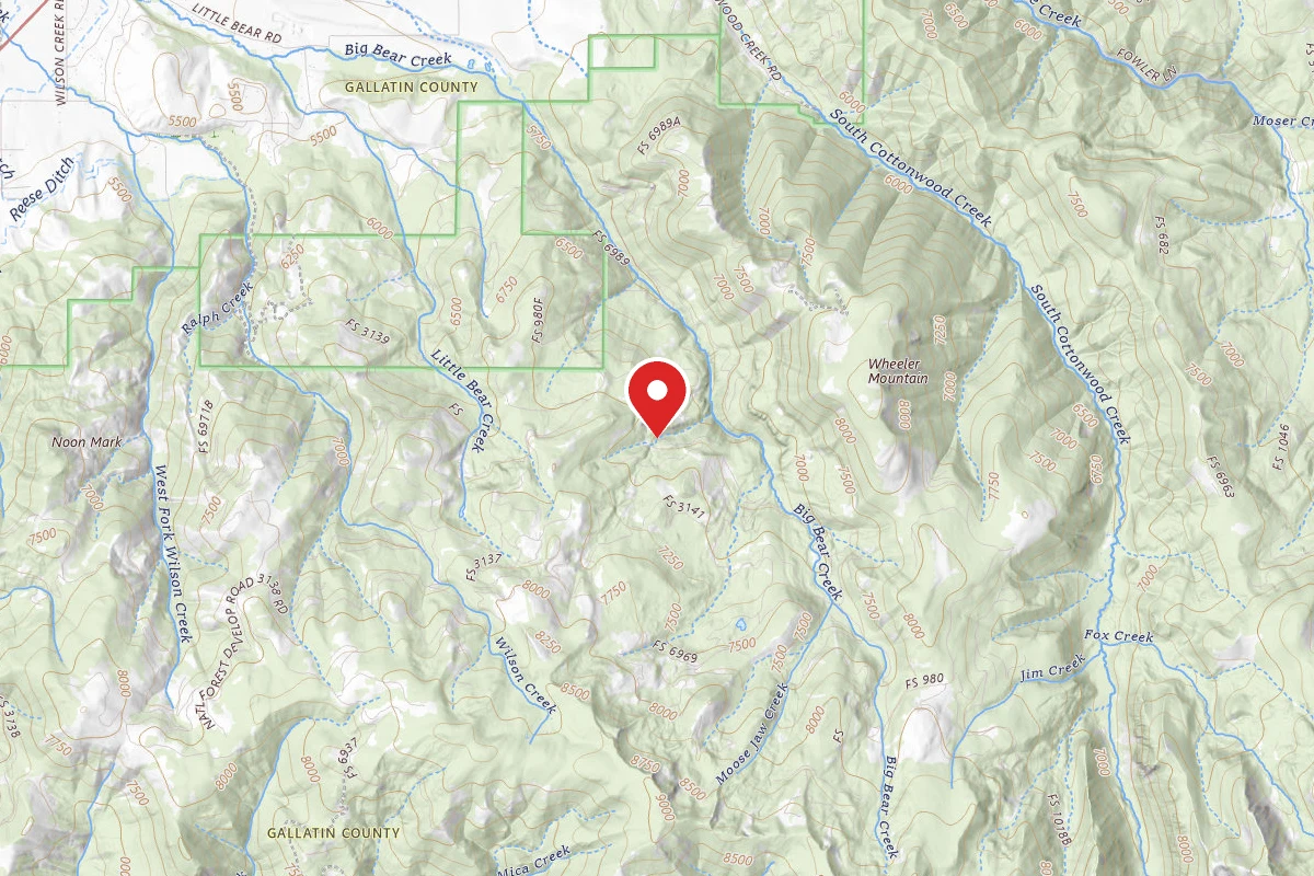 Custer Gallatin Dispersed Campsite FR980-03 LITTLE BEAR