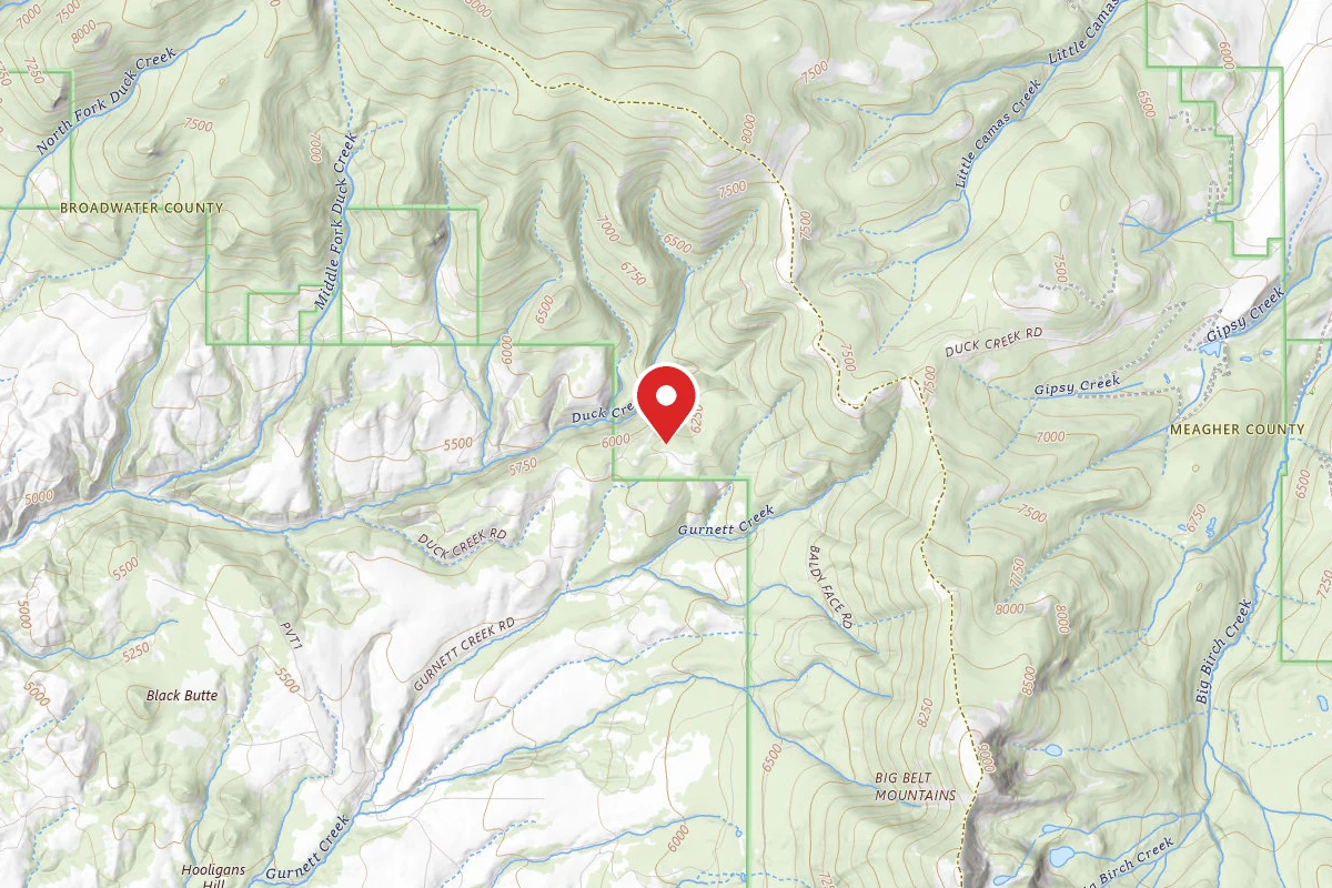 Helena-Lewis and Clark Dispersed Campsite DUCK CR RD 139 001
