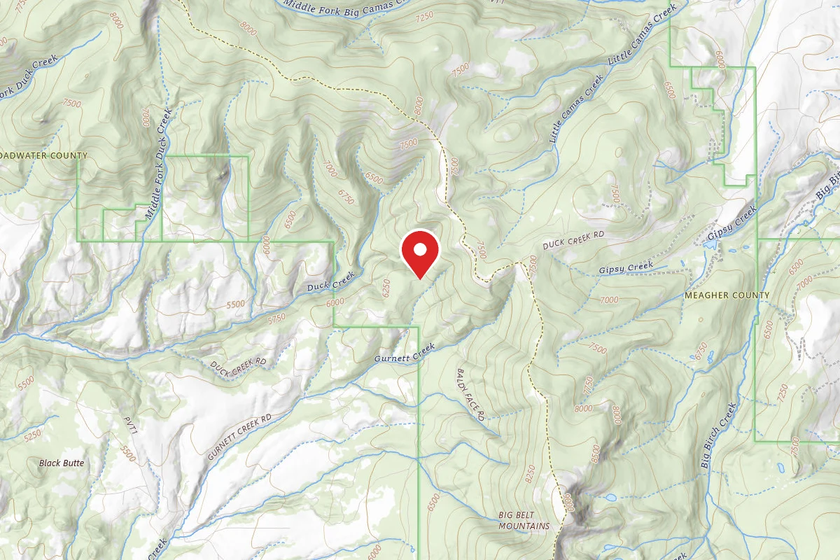 Helena-Lewis and Clark Dispersed Campsite DUCK CR RD 139 002