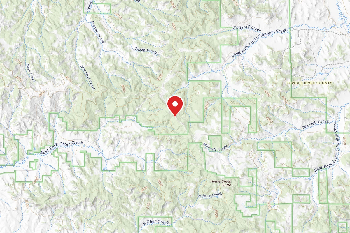 Custer Gallatin Dispersed Campsite FR 4777B