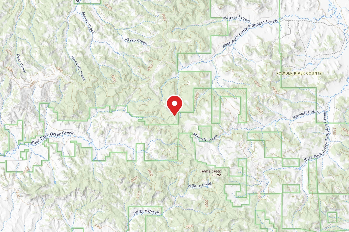 Custer Gallatin Dispersed Campsite FR 4777C