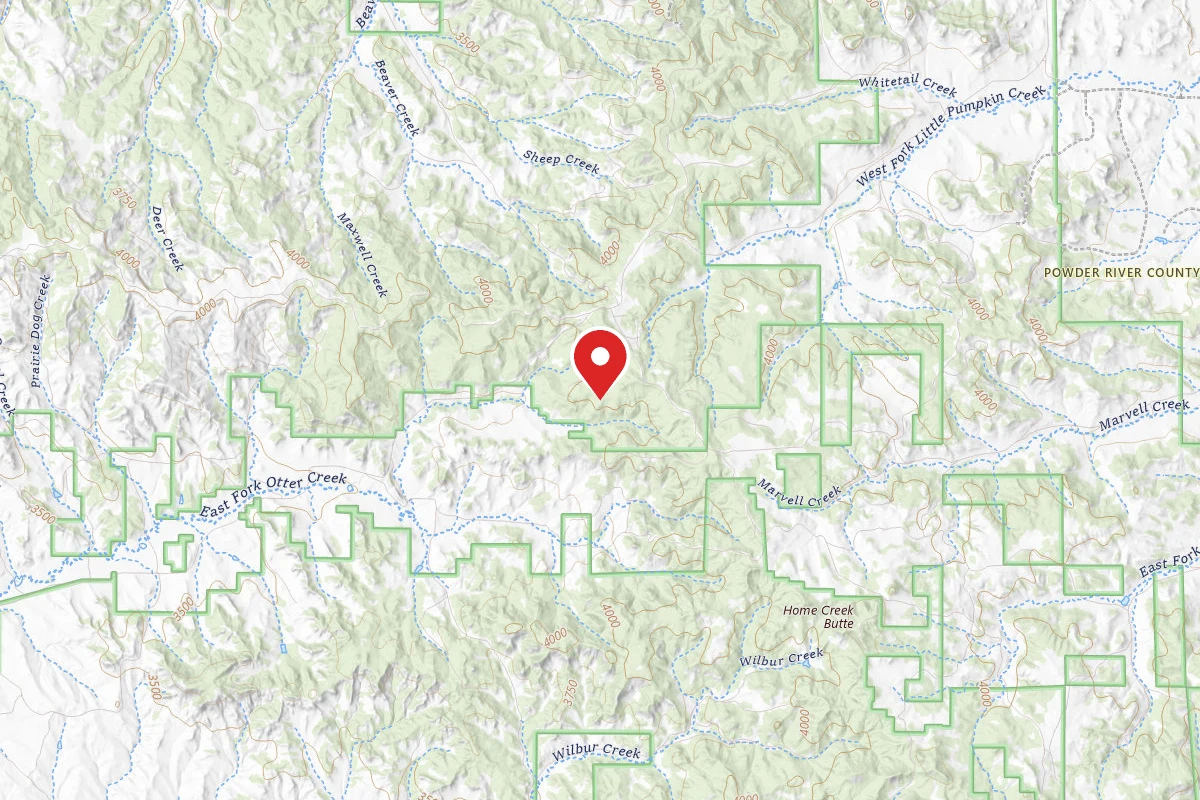 Custer Gallatin Dispersed Campsite FR 4777D