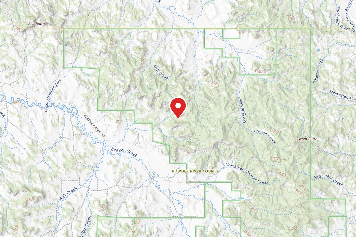 Custer Gallatin Dispersed Campsite FR 4767C