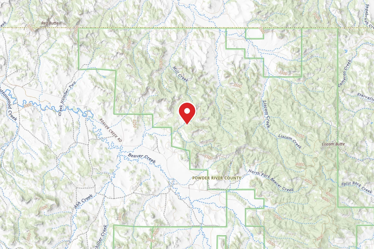 Custer Gallatin Dispersed Campsite FR 4767D