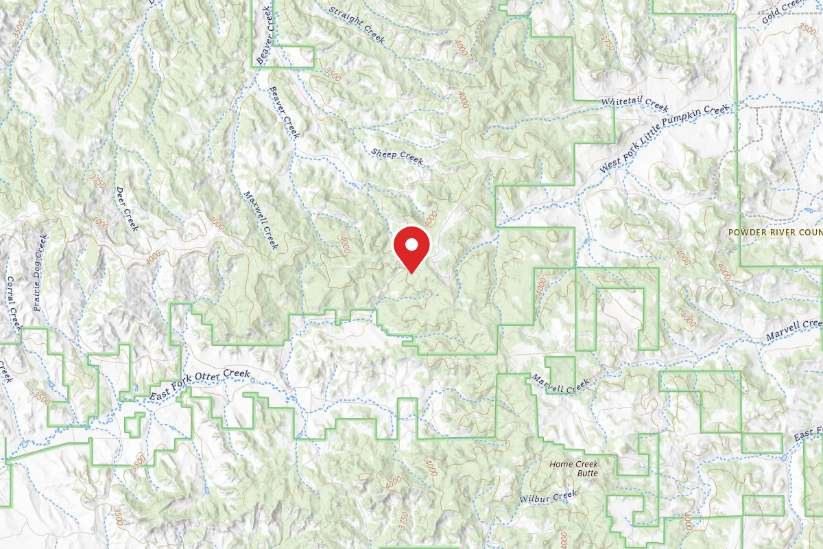 Custer Gallatin Dispersed Campsite FR4409A