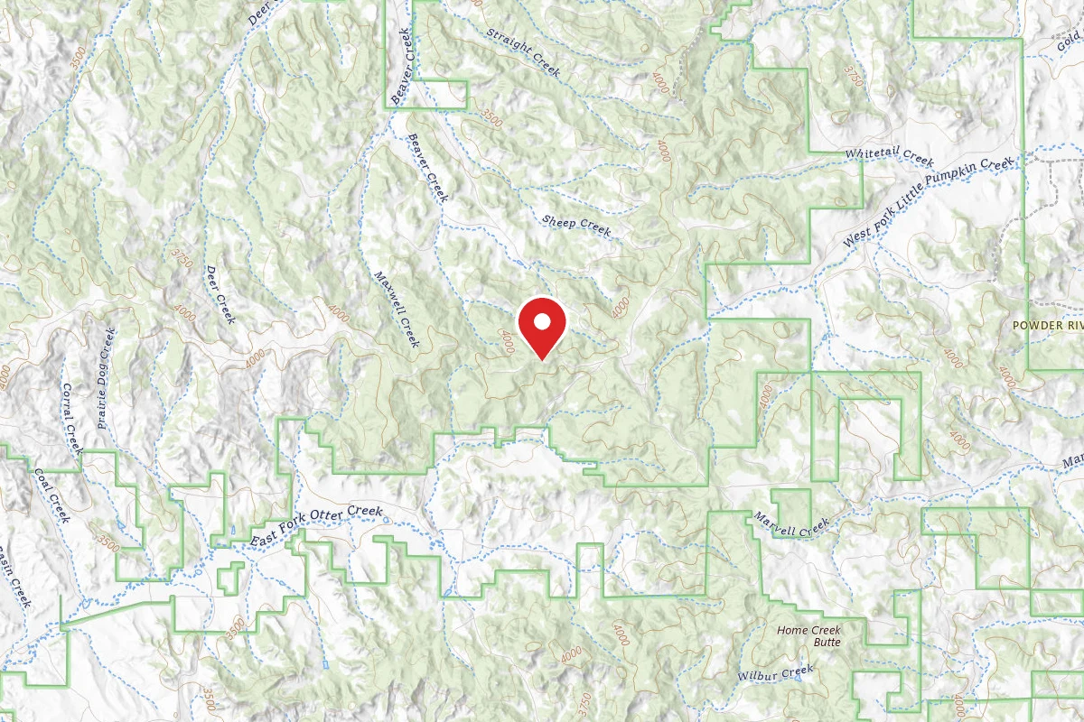 Custer Gallatin Dispersed Campsite FR4409B