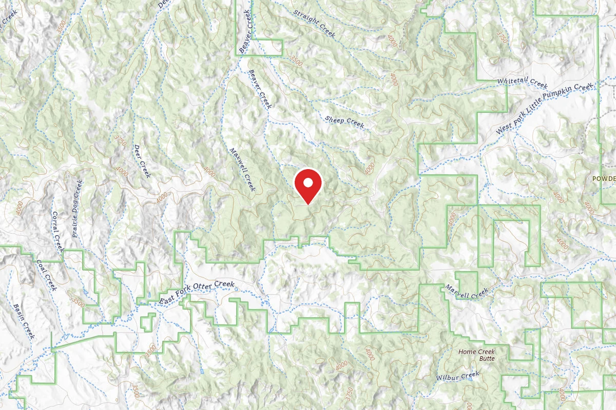 Custer Gallatin Dispersed Campsite FR4409C