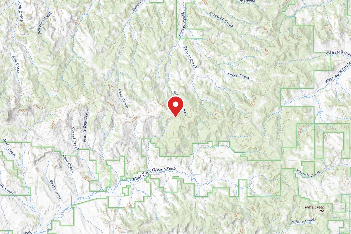 Custer Gallatin Dispersed Campsite FR4409E