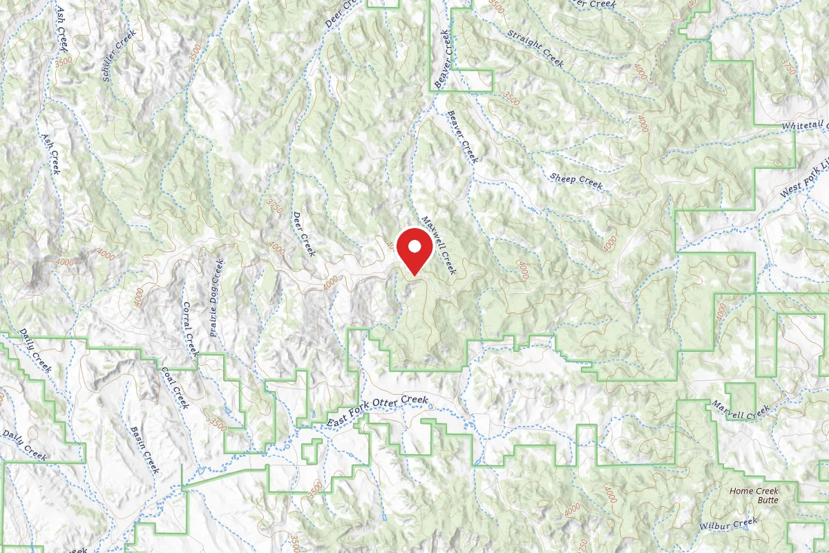 Custer Gallatin Dispersed Campsite FR4409F