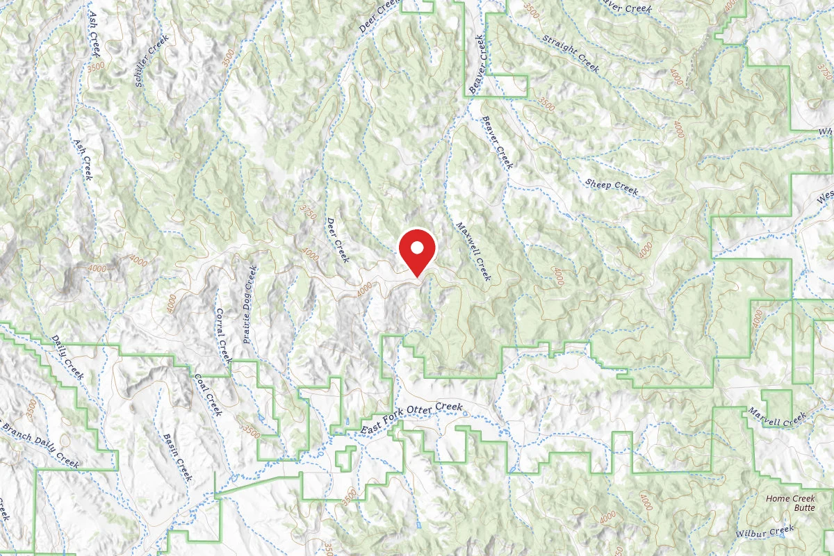 Custer Gallatin Dispersed Campsite FR4409G