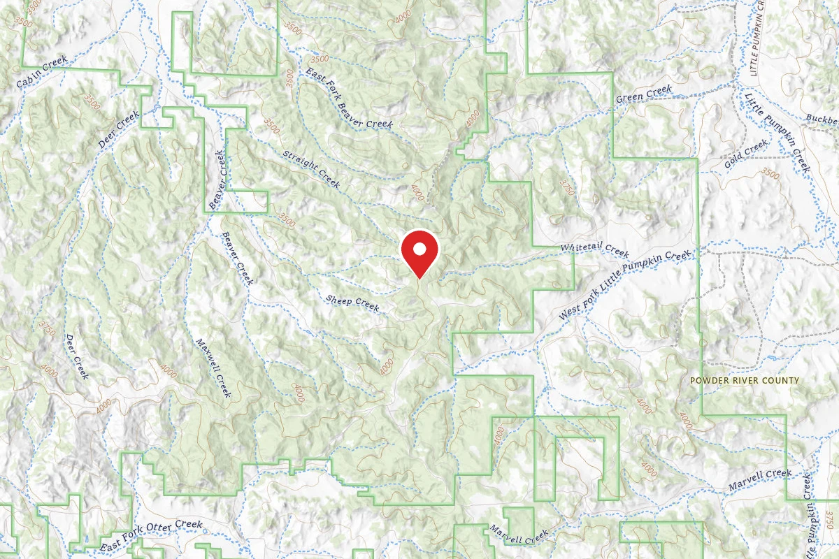 Custer Gallatin Dispersed Campsite FR4427A