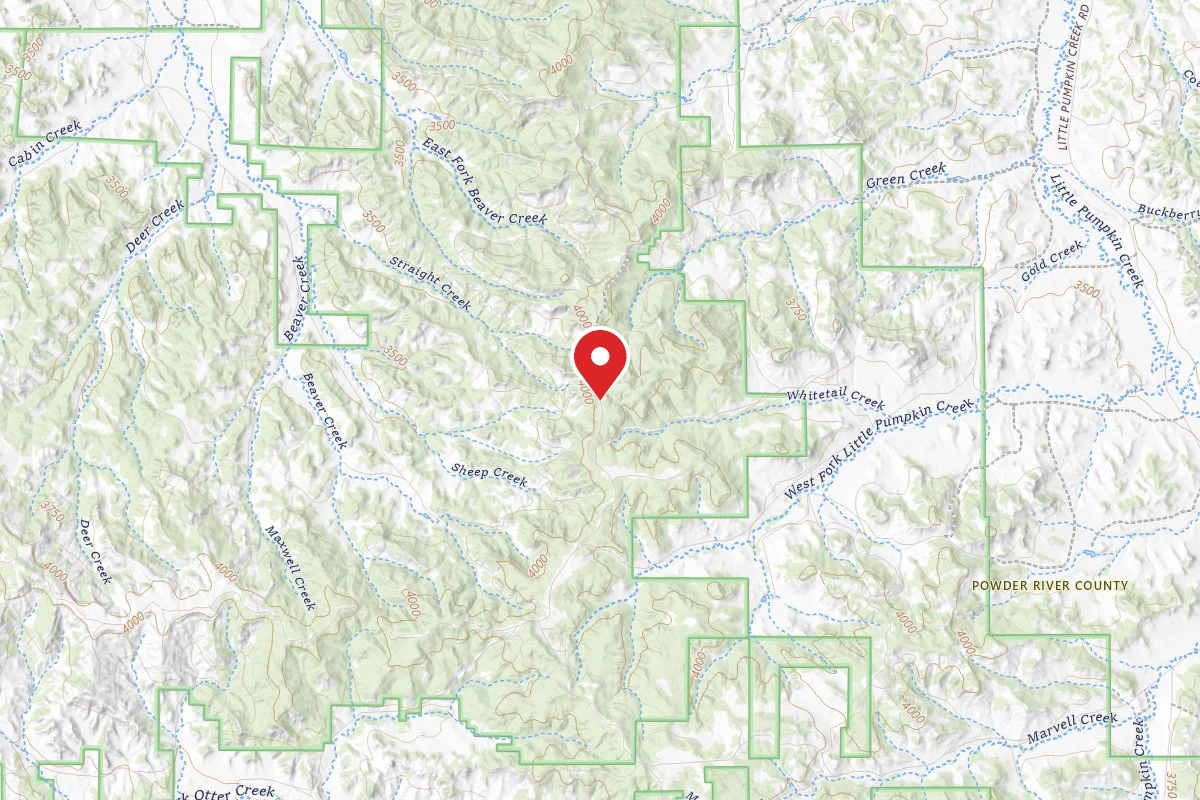 Custer Gallatin Dispersed Campsite FR4427B