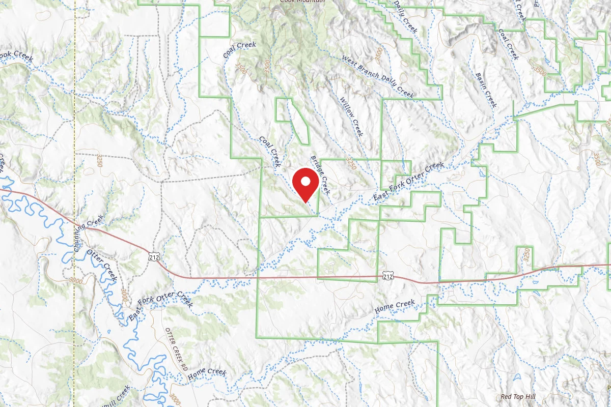 Custer Gallatin Dispersed Campsite FR4773A